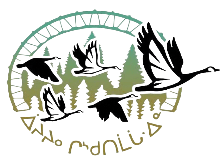 Cree School Boardpng